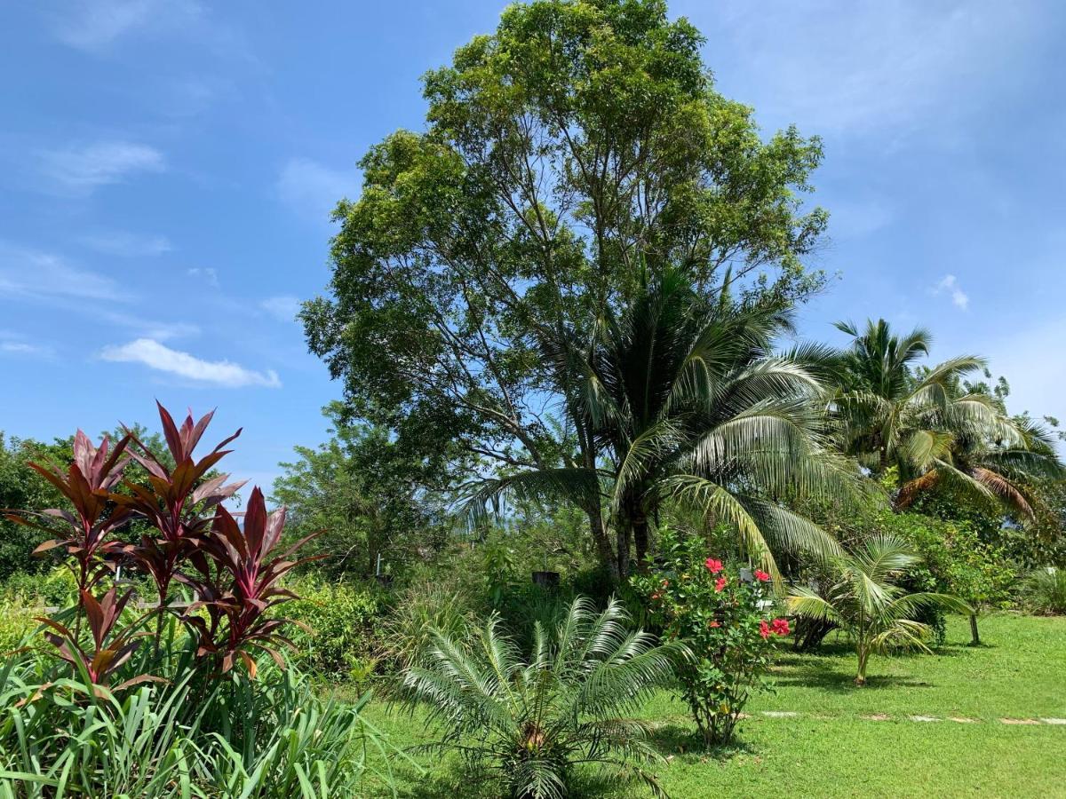 Lovely Garden Villas Pantai Cenang  Dış mekan fotoğraf