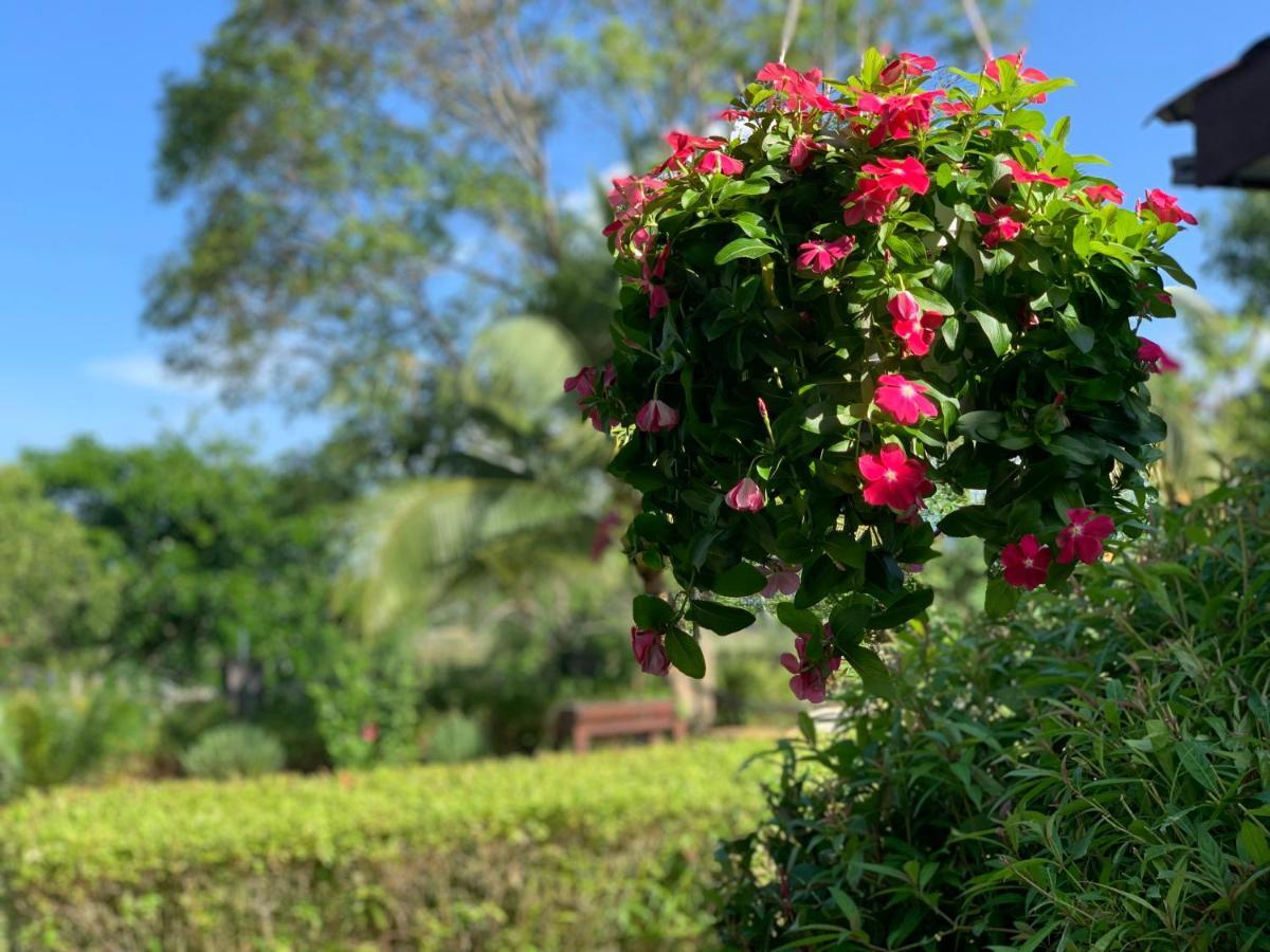 Lovely Garden Villas Pantai Cenang  Dış mekan fotoğraf