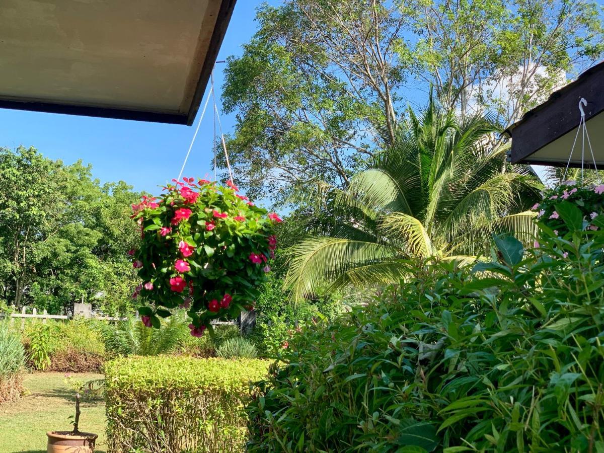 Lovely Garden Villas Pantai Cenang  Dış mekan fotoğraf